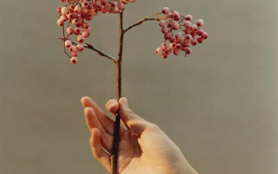 Yogahouding 4: De reinigende ‘Shoelace’