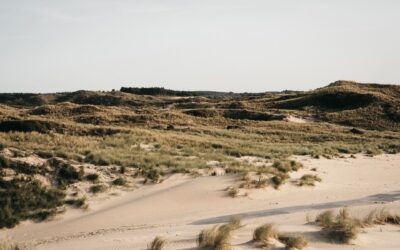 Yogahouding 1: ‘Butterfly pose’ of Lying ‘Butterfly pose’