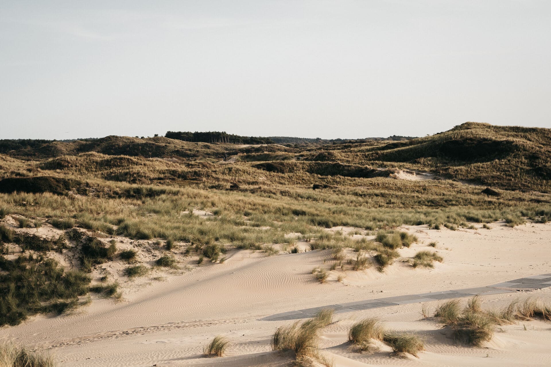 House of Icho – Liselore Stap _liselorestap-105