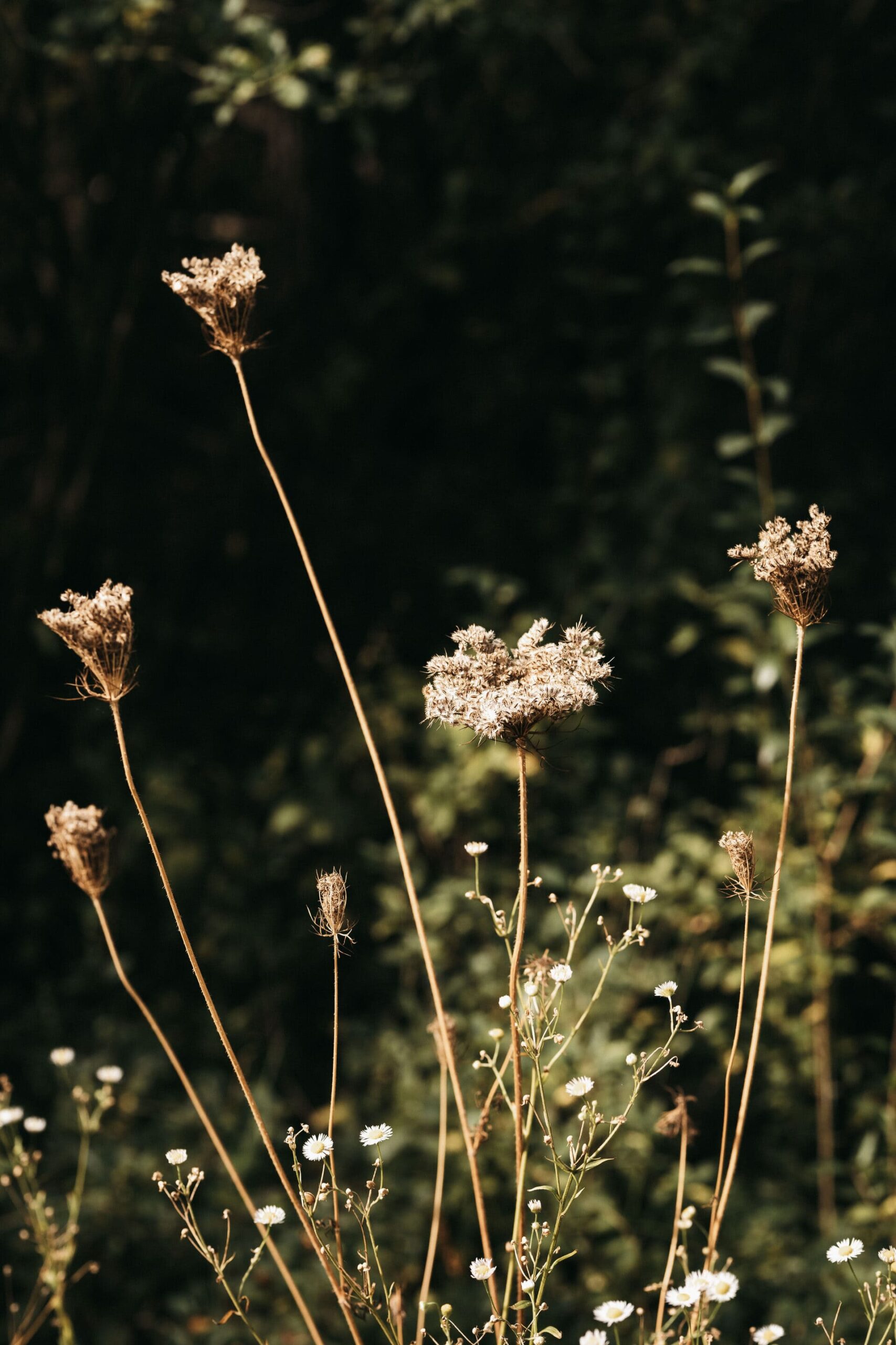 House of Icho – Liselore Stap _liselorestap-61